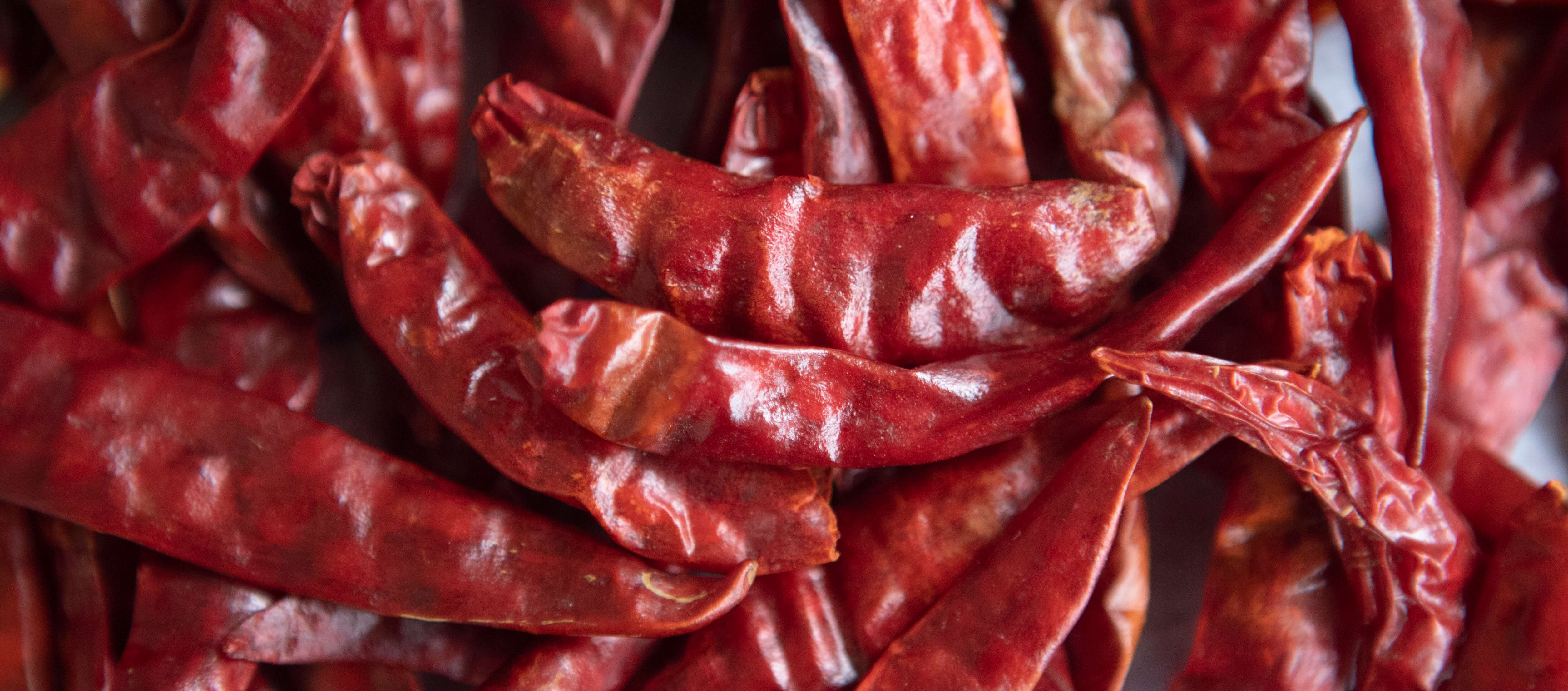 Chili Crisp Spicy Honey Shop Spice Witch Chili Crisp Spicy Honey Shop Spice Witch